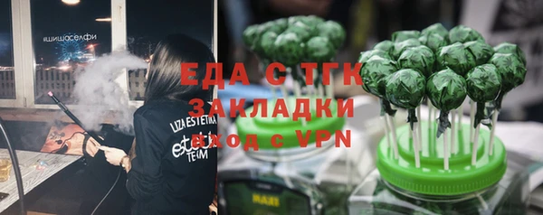 шишки Инсар