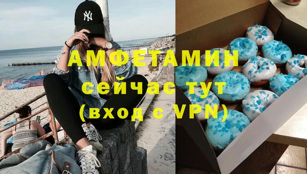 соль ск Каменка