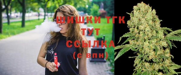 соль ск Каменка