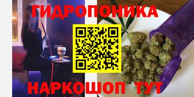 кокс Аргун