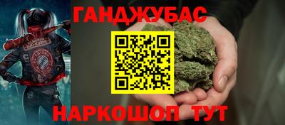 индика Гатчина