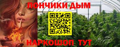 шишки Апшеронск