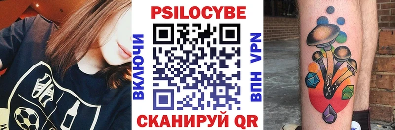 купить   Владикавказ  Псилоцибиновые грибы GOLDEN TEACHER 