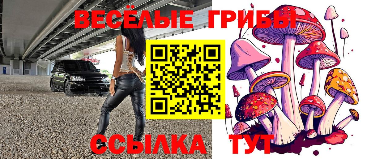 Псилоцибиновые грибы мухоморы  где купить   Владикавказ 